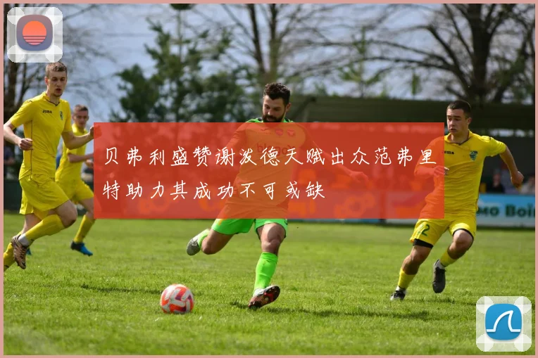 贝弗利盛赞谢泼德天赋出众范弗里特助力其成功不可或缺