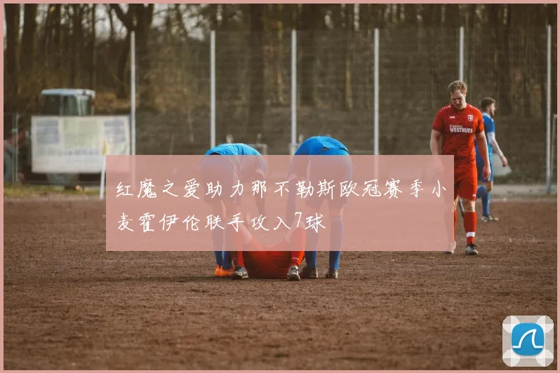 红魔之爱助力那不勒斯欧冠赛季小麦霍伊伦联手攻入7球